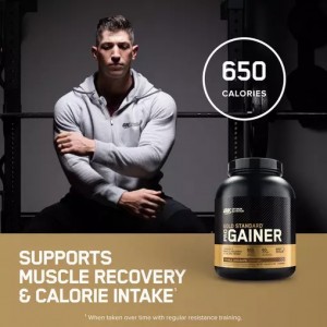 Optimum Nutrition Gold Standard Pro Gainer Vanilla 2.27kg | 10287UCGZ