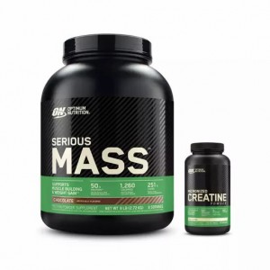Optimum Nutrition Mass Stack | 45263RDLO