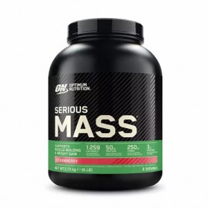 Optimum Nutrition Serious Mass Gainer Strawberry 2.73 kg (8 Servings) | 47658QNTM